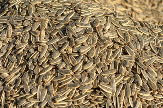 black and white sunflower seeds piled in a heap at a local market