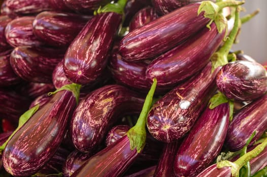 fresh striped purple eggplants at the local market