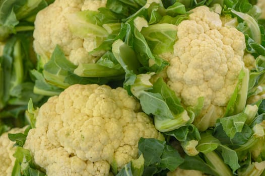 fresh cauliflower at the local market