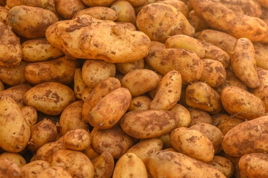 Appetizing potato at the bazaar on the island of Cyprus in autumn