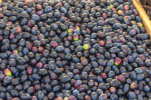 fresh black olives at the bazaar on the island of Cyprus in autumn