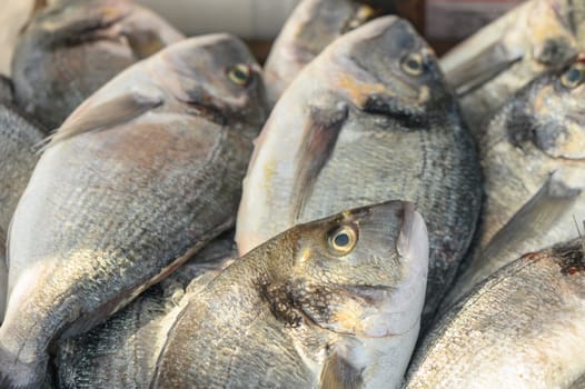 fresh dorado on ice at a local market in the Mediterranean 5