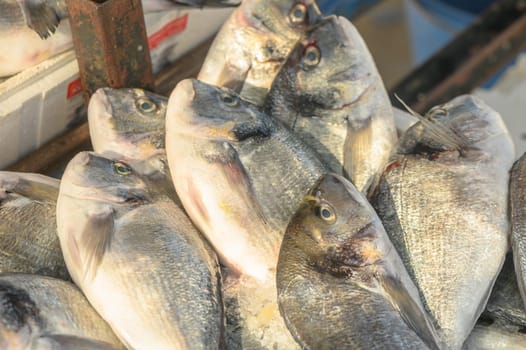 fresh dorado on ice at a local market in the Mediterranean 2