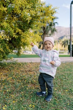 Little smiling girl stands near a bush with yellowing leaves and points her finger at it. High quality photo
