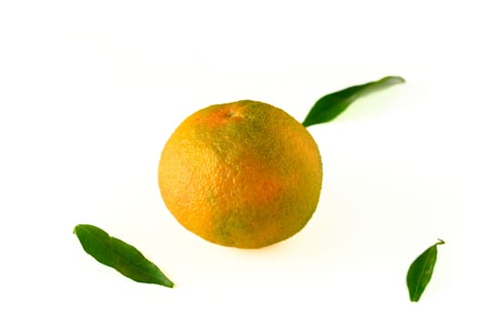 fresh appetizing tangerine on a white background 4