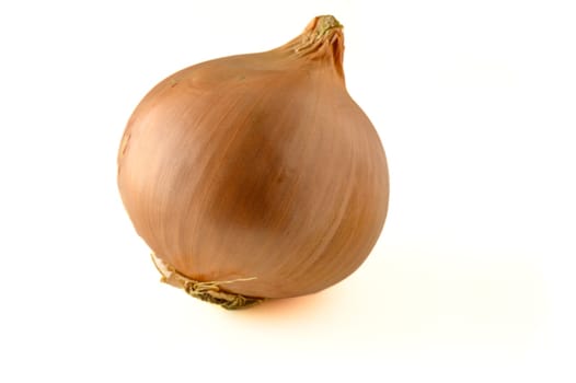 onion on white background in Cyprus 1