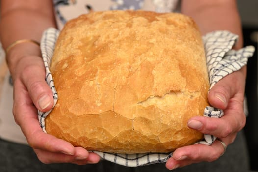 freshly baked bread at home in the hands of a woman in the kitchen 1