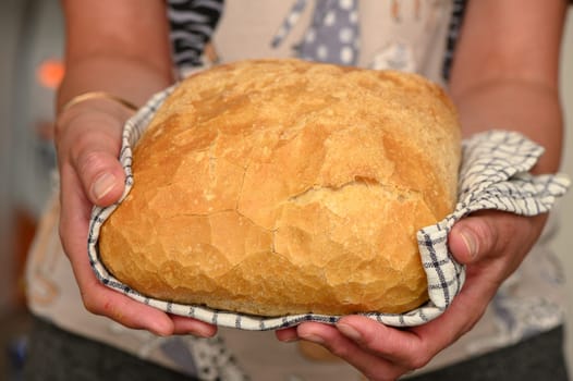 freshly baked bread at home in the hands of a woman in the kitchen