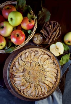 Homemade apple pie on dark rustic background, top view.