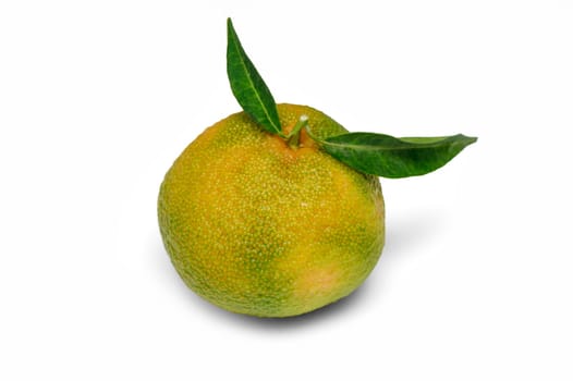 fresh tangerine on white background