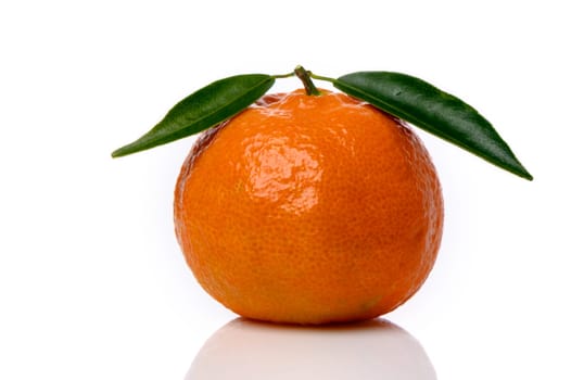 fresh tangerine with green leaves on white background