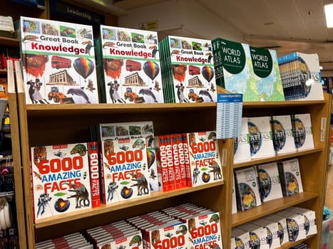 Colorful books on various knowledge, atlases and interesting facts on store shelves. High quality photo