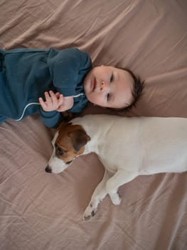 Top view of Jack Russell Terrier dog and three month old boy lying on bed