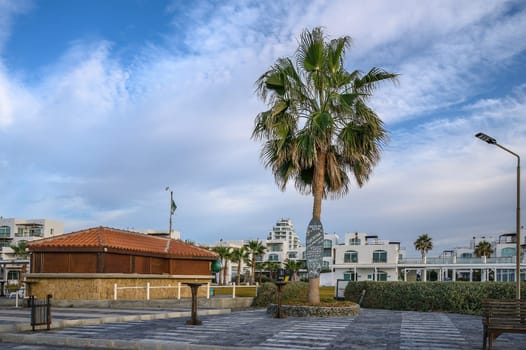 bar and palm tree on the shore of the Mediterranean sea