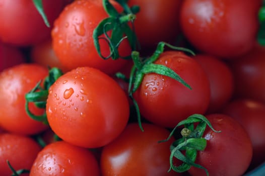 red fresh cherry tomatoes as food background