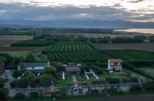 view from the roof of an orange garden on the island of Cyprus 1