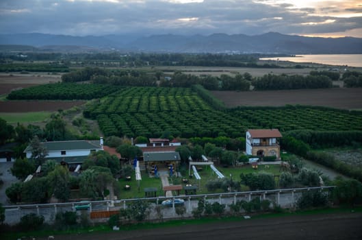 view from the roof of an orange garden on the island of Cyprus