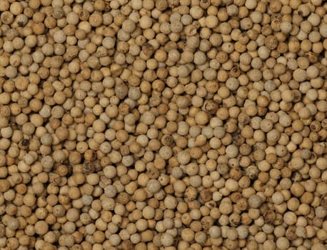 Background of white peppercorns, natural spice condiment pattern texture, elevated top view, directly above