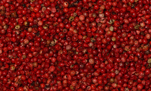 Background of pink rose peppercorns, natural spice condiment pattern texture, elevated top view, directly above