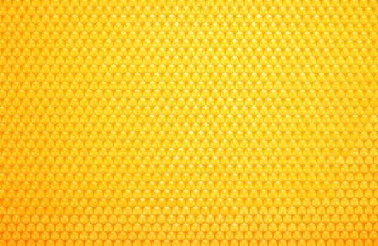 Close up fresh golden comb honey background texture, full frame honeycomb pattern