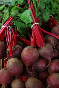 Close up heap of many fresh washed new red beetroot bunches with greens at retail display of farmer market, high angle view