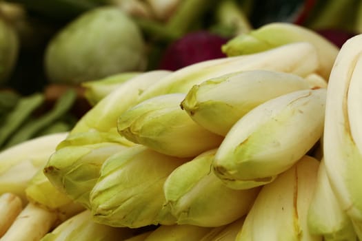 Close up fresh white green endive, salat chicory (Cichorium endivia) at retail display of farmer market, high angle view