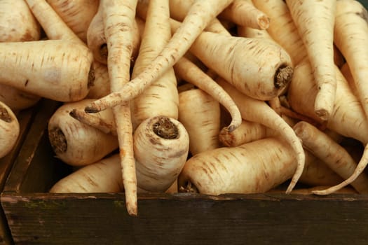 Close up fresh clean washed parsnip roots in wooden box at retail display of farmer market, high angle view