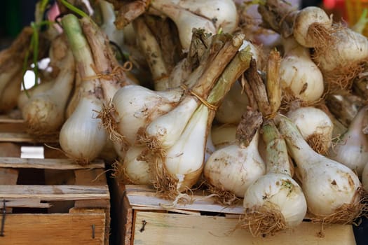 Close up bunches of fresh new farm onion on wooden box at retail display of farmer market, high angle view