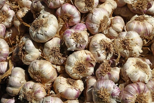 Close up fresh new garlic at retail display of farmer market, high angle view