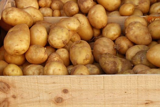 Close up heap of many fresh washed new farm potato in wooden box at retail display of farmer market, high angle view