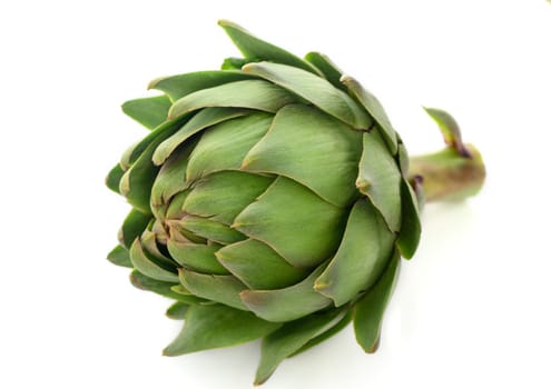 fresh artichoke on white background 3