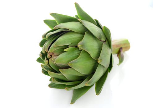 fresh artichoke on white background 3