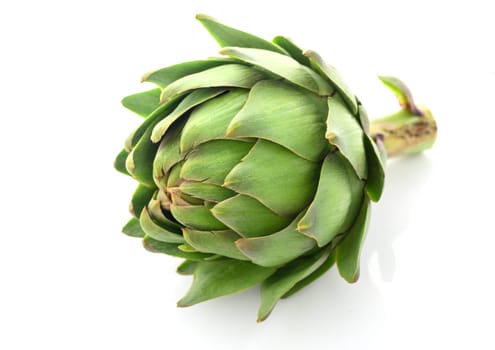 fresh artichoke on white background 4