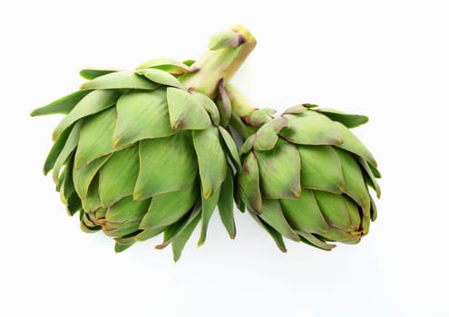 fresh artichoke on white background