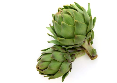 fresh artichoke on white background 6