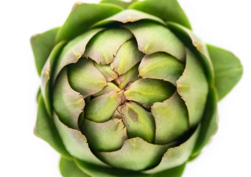 fresh artichoke on white background 5