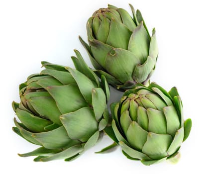 fresh artichoke on white background 1