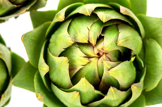 fresh artichoke on white background 4