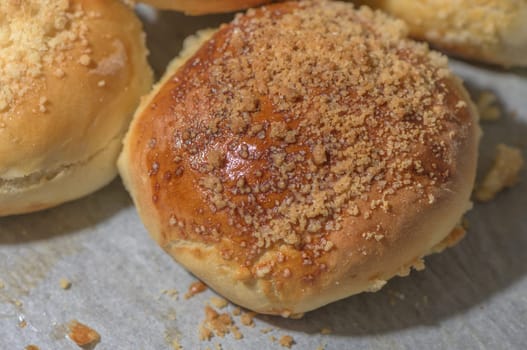 homemade bread rolls on parchment on a baking sheet