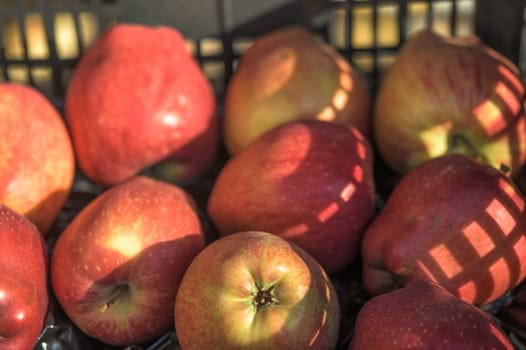 red apples in a box near the store 1