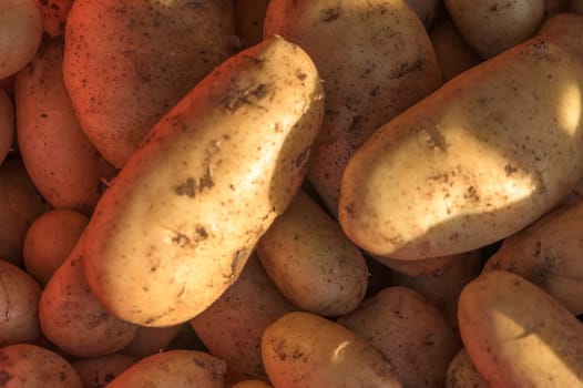 potatoes in a box near the store