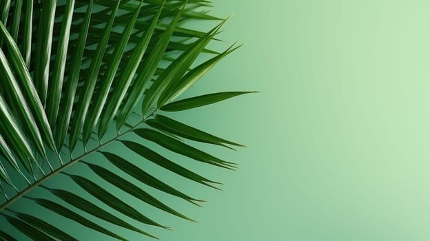 Minimal background with a tropical palm leaves on a green background AI
