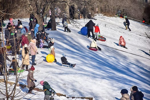 Happy family father, daughter and son are sledding in snow. Happy winter holidays.