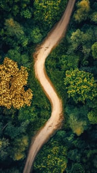 bird's-eye view of a winding dirt path splitting into two separate trails amidst a dense green forest, embodying the metaphor of choice and the divergent paths one can take in life, vertical