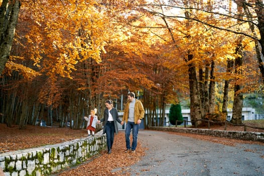 Dad holds the hand of mom leading a little girl by the hand along a stone fence in the autumn forest. High quality photo