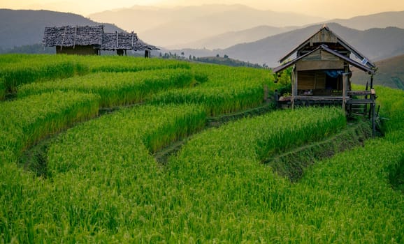 Landscape of rice terrace and hut with mountain range background and beautiful sunrise sky. Nature landscape. Green rice farm. Terraced rice fields. Travel destinations in Chiang Mai, Thailand.