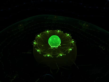 Imaginatory lush fractal texture image abstract background