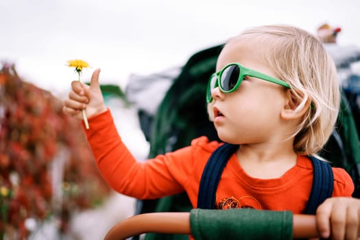 Little girl in sunglasses with a yellow dandelion in her hand sits in a stroller and looks away. High quality photo