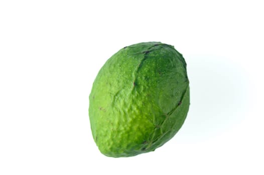 fresh avocado on white background