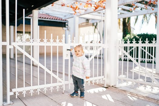 Little girl stands near a forged fence in the park and holds the gate handle. High quality photo